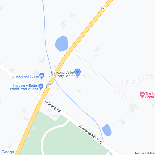 Map of veterinarians in Holicong, PA