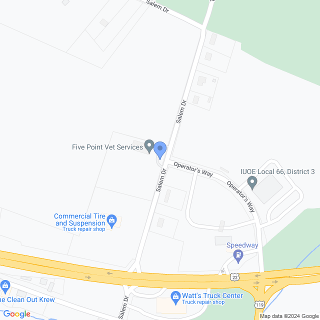 Map of veterinarians in New Alexandria, PA