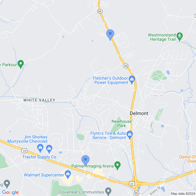 Map of veterinarians in Delmont, PA