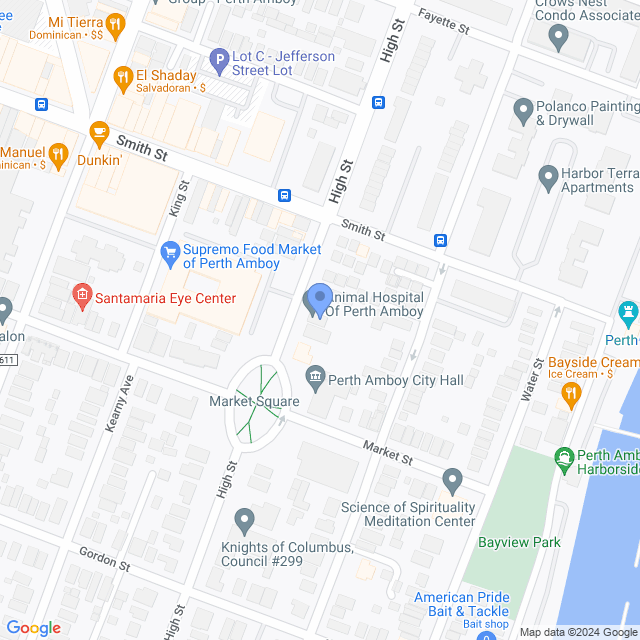 Map of veterinarians in Perth Amboy, NJ