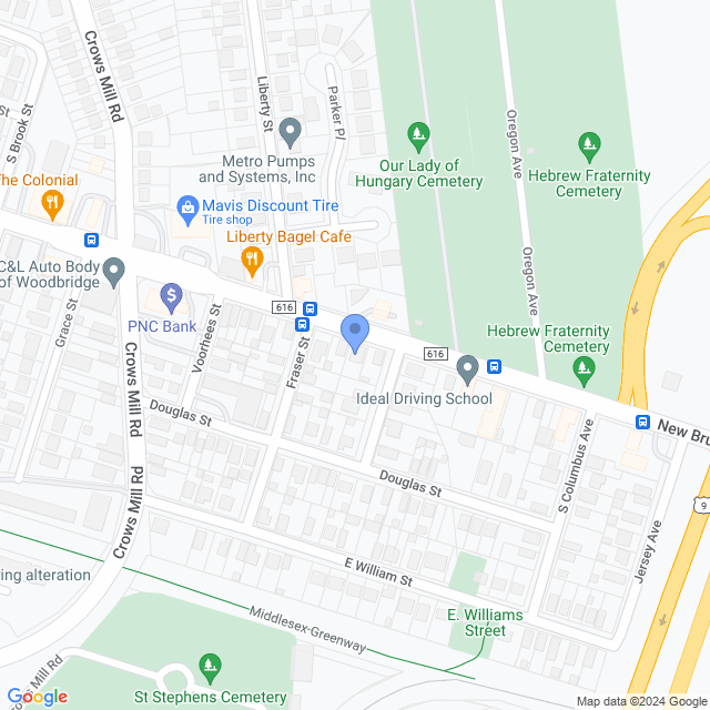 Map of veterinarians in Fords, NJ