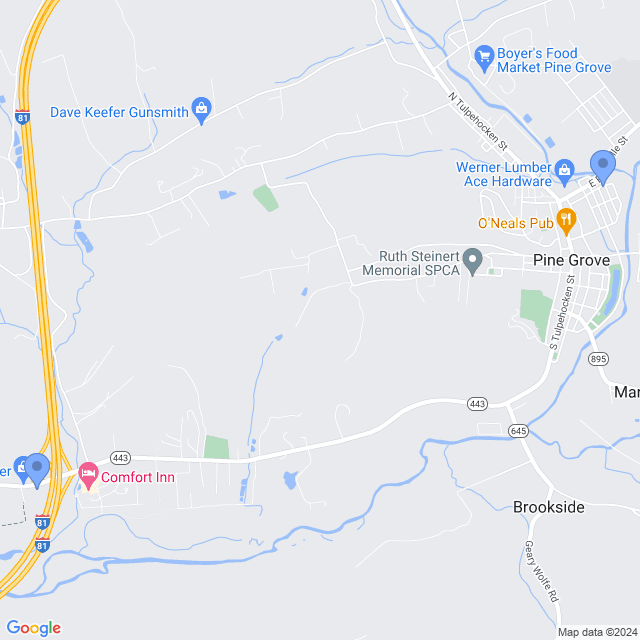 Map of veterinarians in Pine Grove, PA