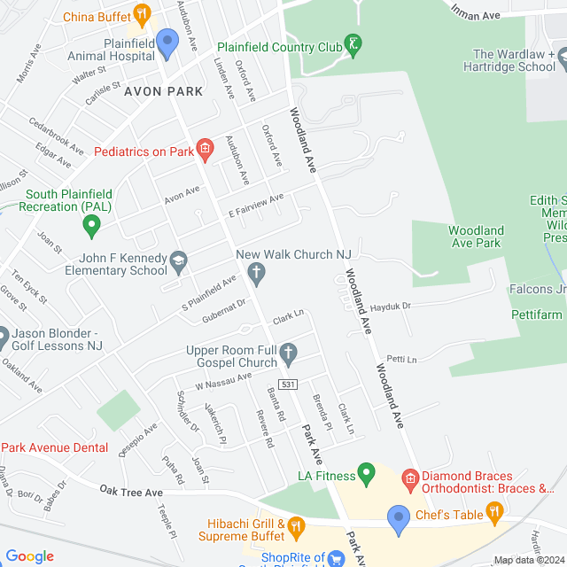 Map of veterinarians in South Plainfield, NJ