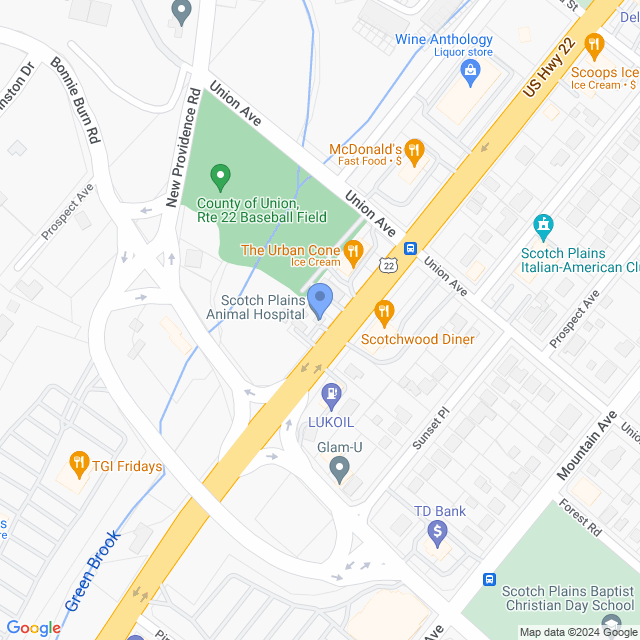 Map of veterinarians in Scotch Plains, NJ