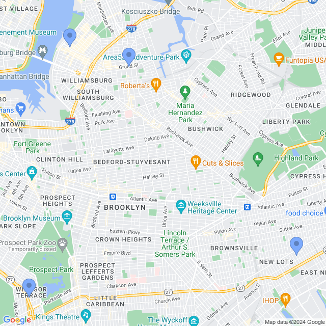 Map of veterinarians in Brooklyn, NY