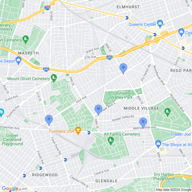 Map of veterinarians in Middle Village, NY
