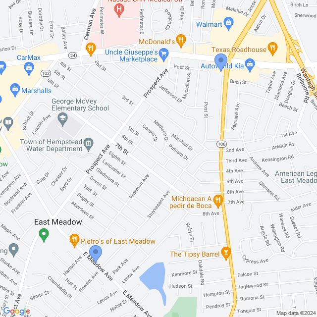 Map of veterinarians in East Meadow, NY