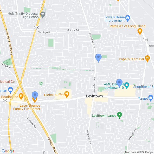 Map of veterinarians in Levittown, NY