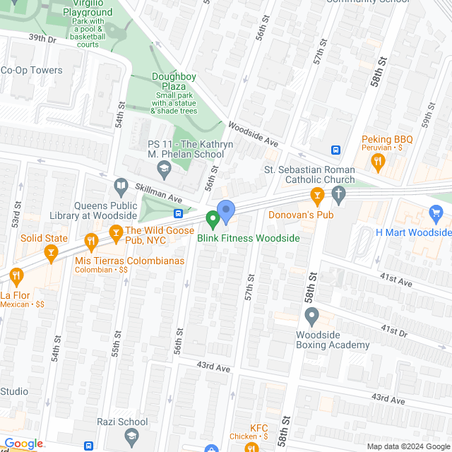 Map of veterinarians in Woodside, NY