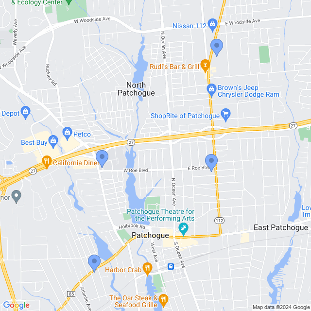 Map of veterinarians in Patchogue, NY