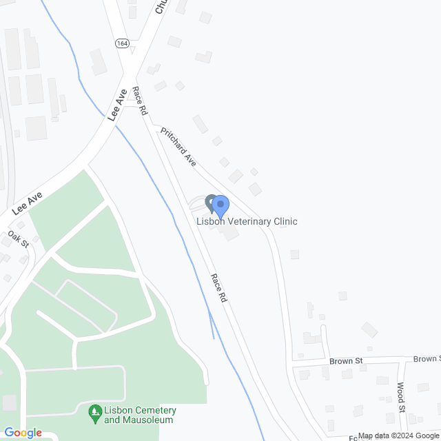 Map of veterinarians in Lisbon, OH
