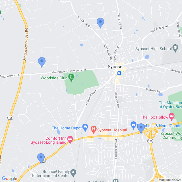 Map of veterinarians in Syosset, NY