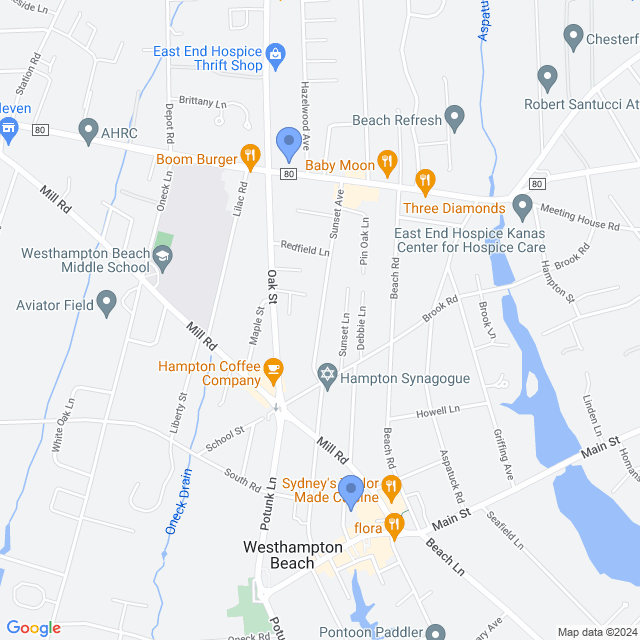 Map of veterinarians in Westhampton Bch, NY