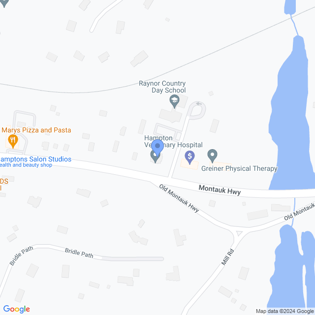 Map of veterinarians in Speonk, NY
