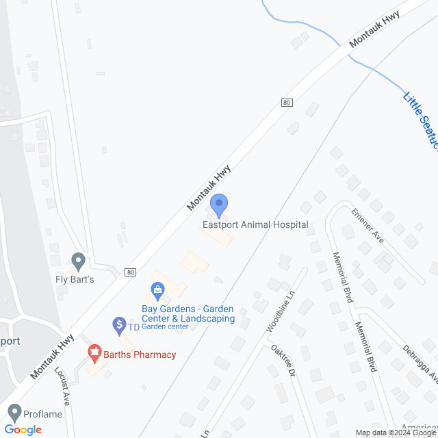 Map of veterinarians in East Moriches, NY