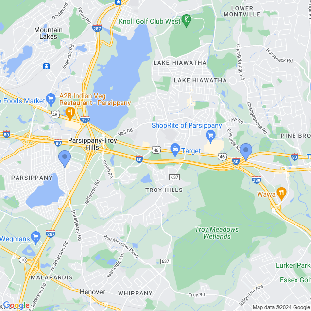 Map of veterinarians in Parsippany, NJ
