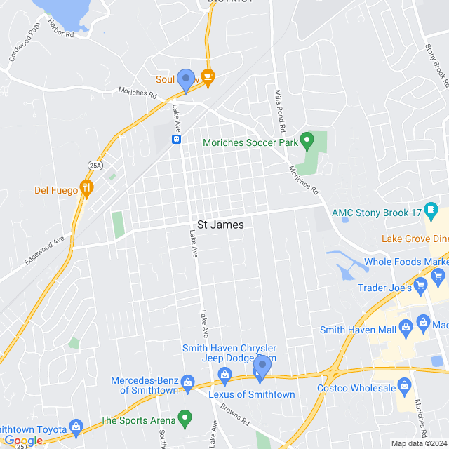 Map of veterinarians in St James, NY