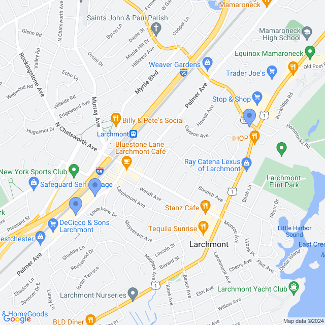 Map of veterinarians in Larchmont, NY