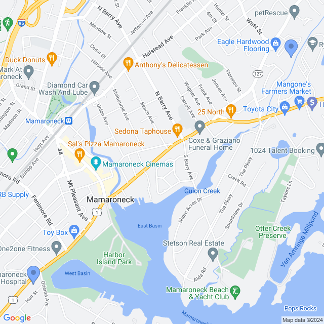 Map of veterinarians in Mamaroneck, NY