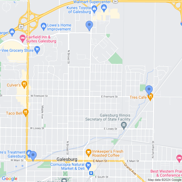 Map of veterinarians in Galesburg, IL