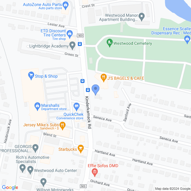 Map of veterinarians in Emerson, NJ