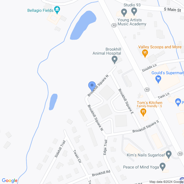 Map of veterinarians in Conyngham, PA