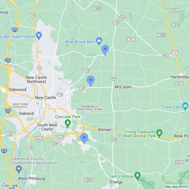 Map of veterinarians in New Castle, PA