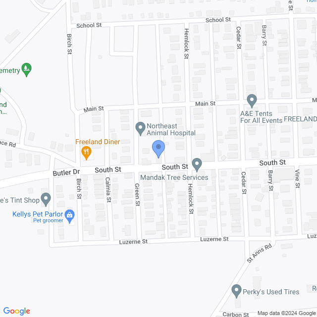 Map of veterinarians in Freeland, PA