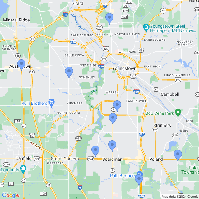 Map of veterinarians in Youngstown, OH