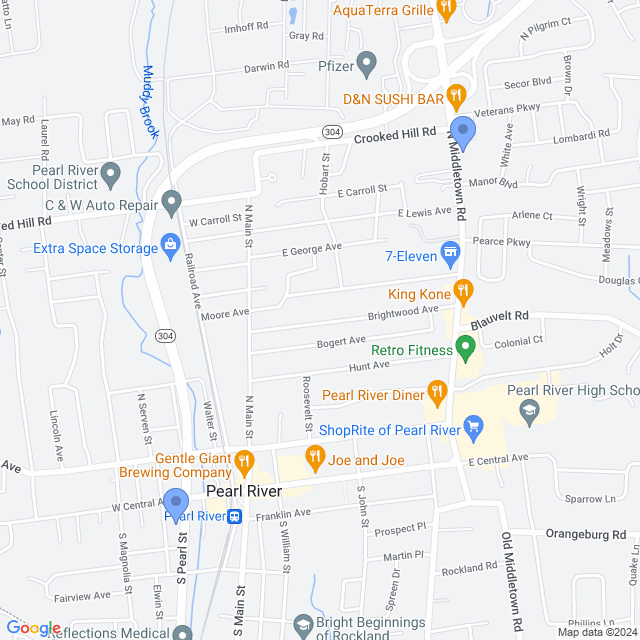 Map of veterinarians in Pearl River, NY