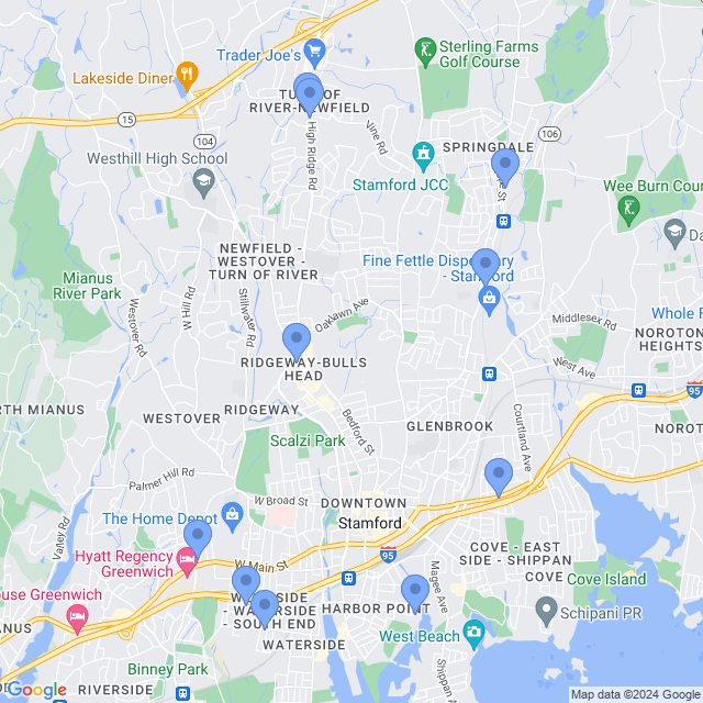 Map of veterinarians in Stamford, CT
