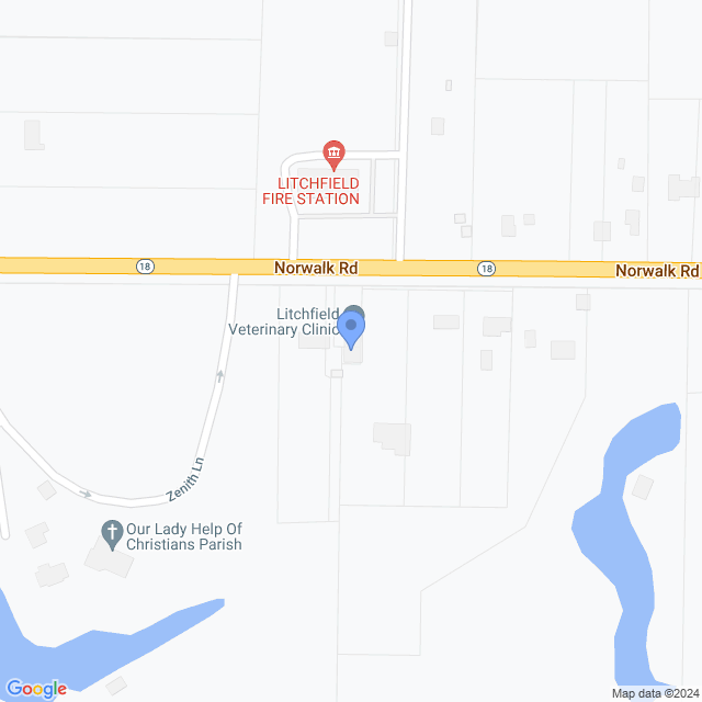 Map of veterinarians in Litchfield, OH