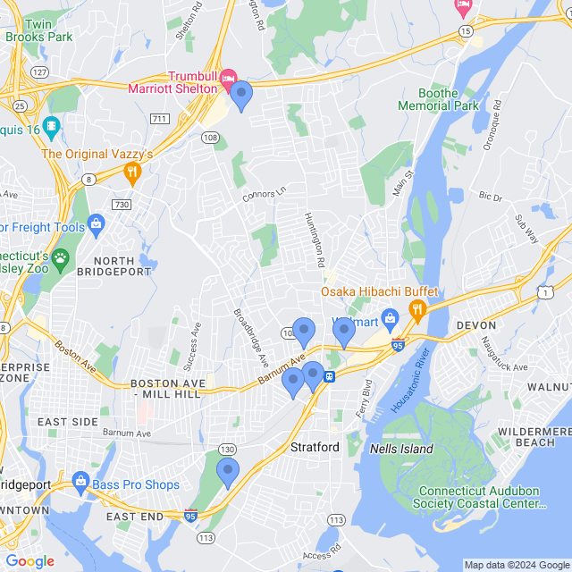Map of veterinarians in Stratford, CT