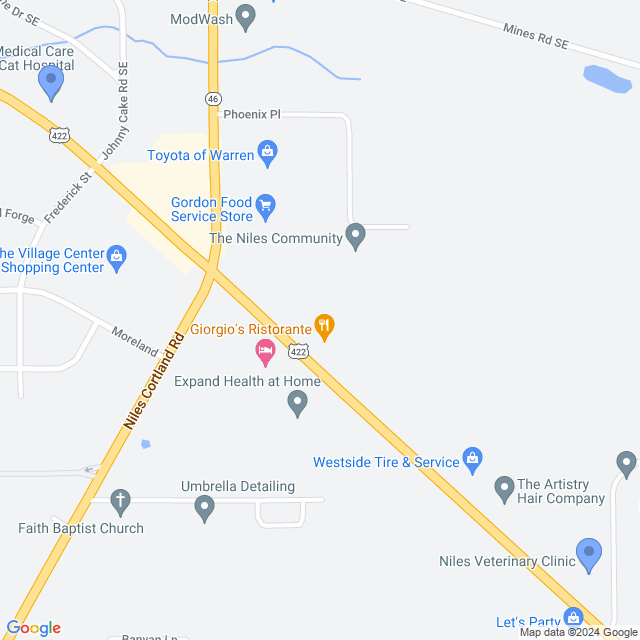 Map of veterinarians in Niles, OH