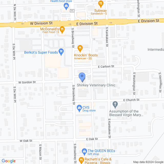 Map of veterinarians in Coal City, IL