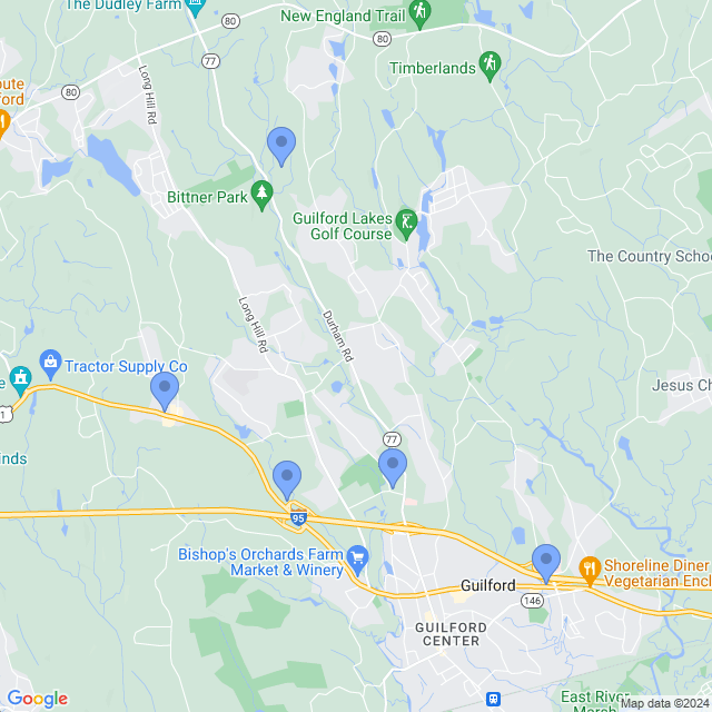 Map of veterinarians in Guilford, CT