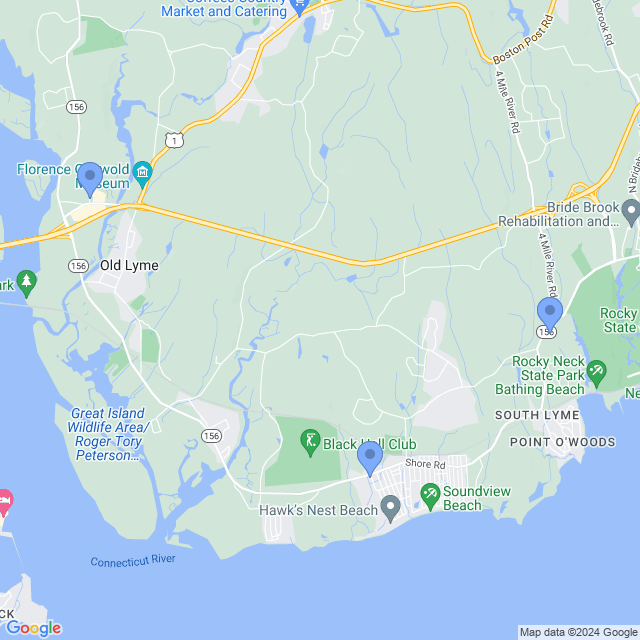 Map of veterinarians in Old Lyme, CT