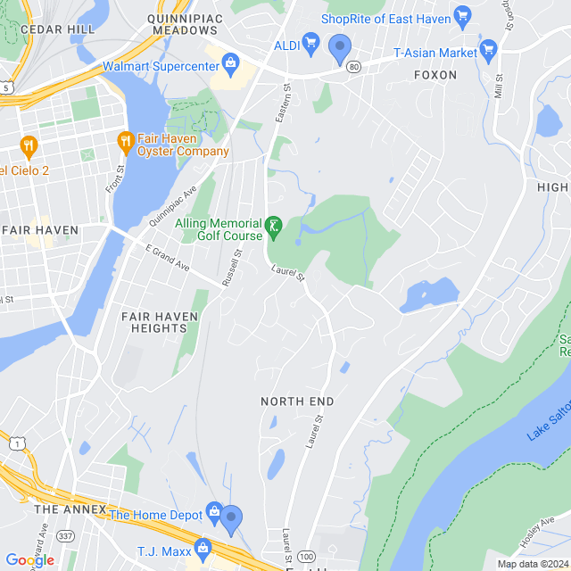 Map of veterinarians in East Haven, CT