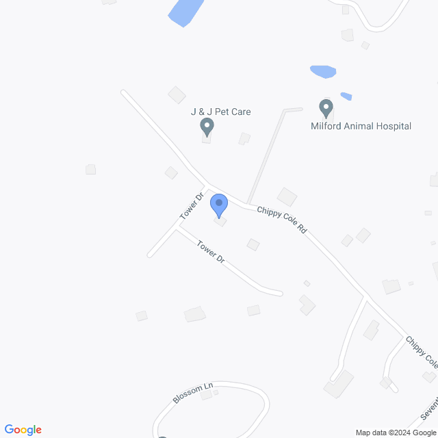 Map of veterinarians in Milford, PA
