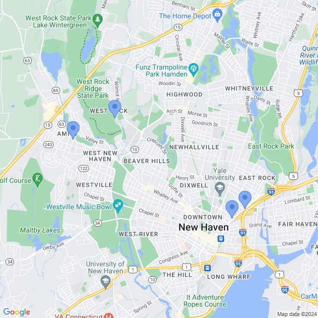 Map of veterinarians in New Haven, CT