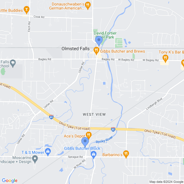 Map of veterinarians in Olmsted Falls, OH