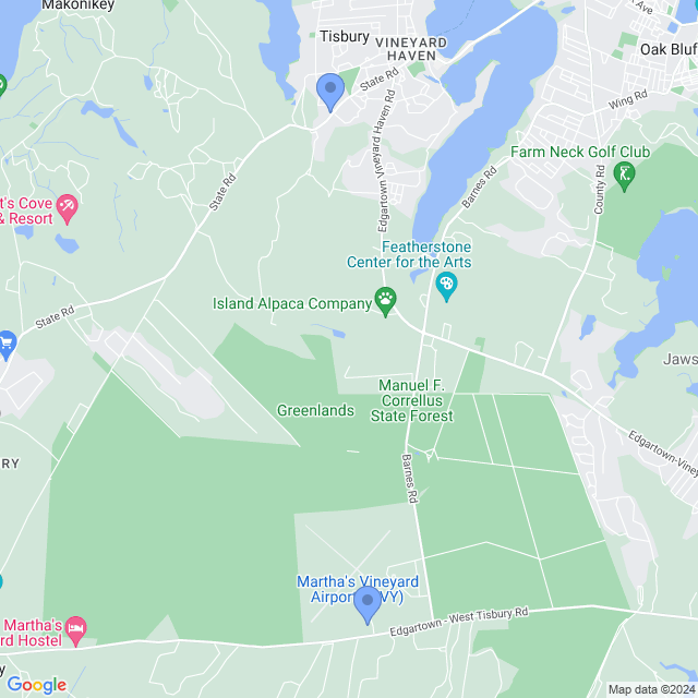 Map of veterinarians in Vineyard Haven, MA