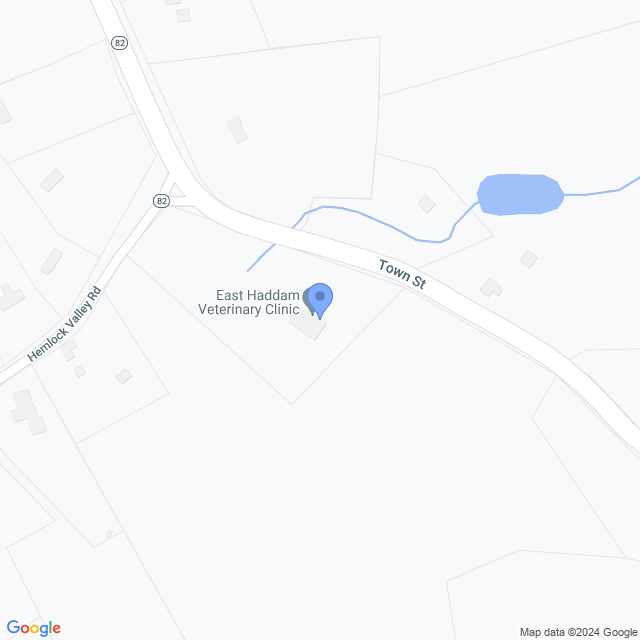 Map of veterinarians in East Haddam, CT