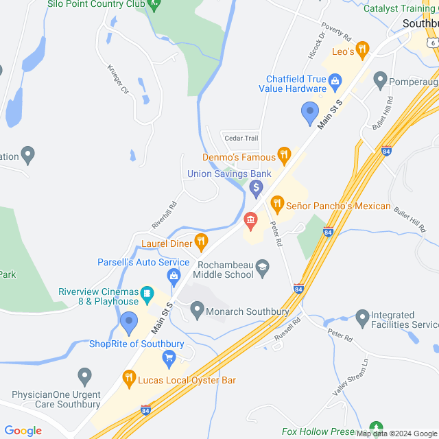 Map of veterinarians in Southbury, CT