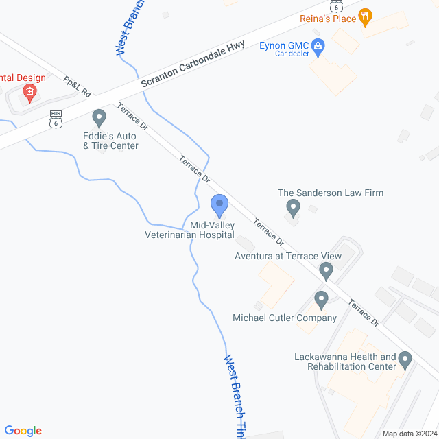 Map of veterinarians in Olyphant, PA
