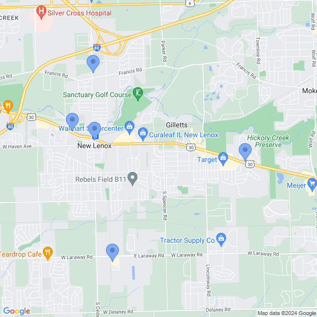 Map of veterinarians in New Lenox, IL