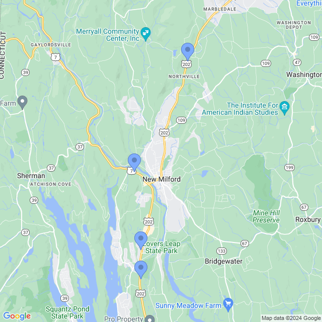 Map of veterinarians in New Milford, CT