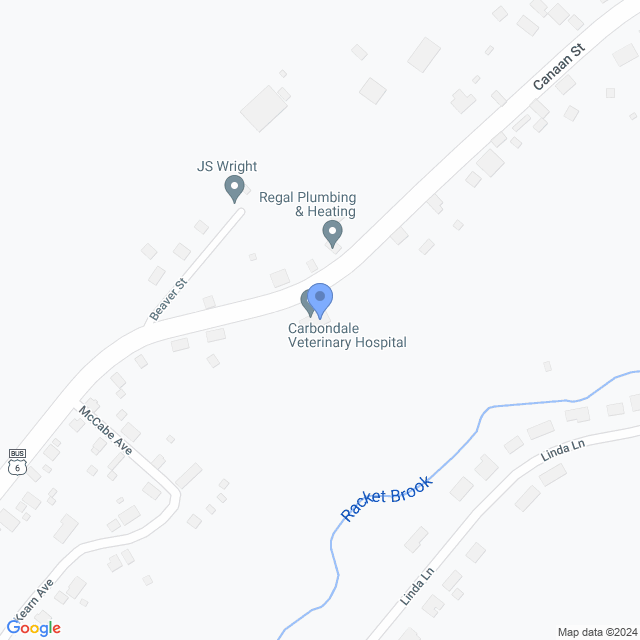 Map of veterinarians in Carbondale, PA