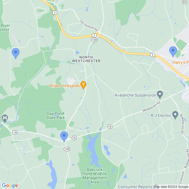 Map of veterinarians in Colchester, CT