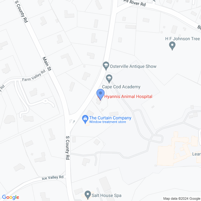 Map of veterinarians in Osterville, MA